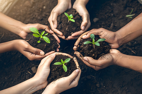 vfit-Bilder-Pflanzen-600x400px