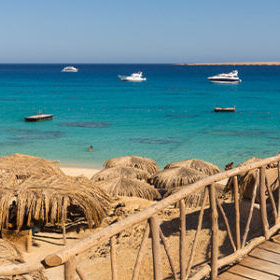 Banner-vfit-1098x300px